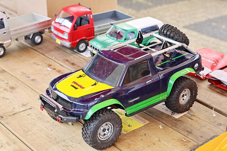 SDWAdag en avond_011